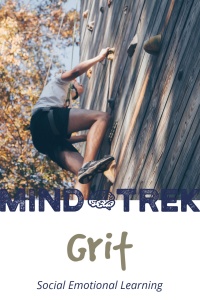 SEL lesson on teaching students to have grit. Student can overcome failure with a growth mindset.