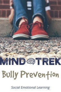 Teaching students bully prevention is a key component to an SEL program.