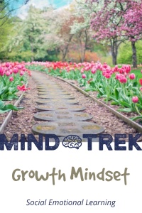 Social emotional learning to teach students how to have a growth mindset.