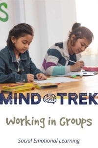 Teach students to communicate and work well in groups. This SEL lesson goes well with conflict resolution lessons.