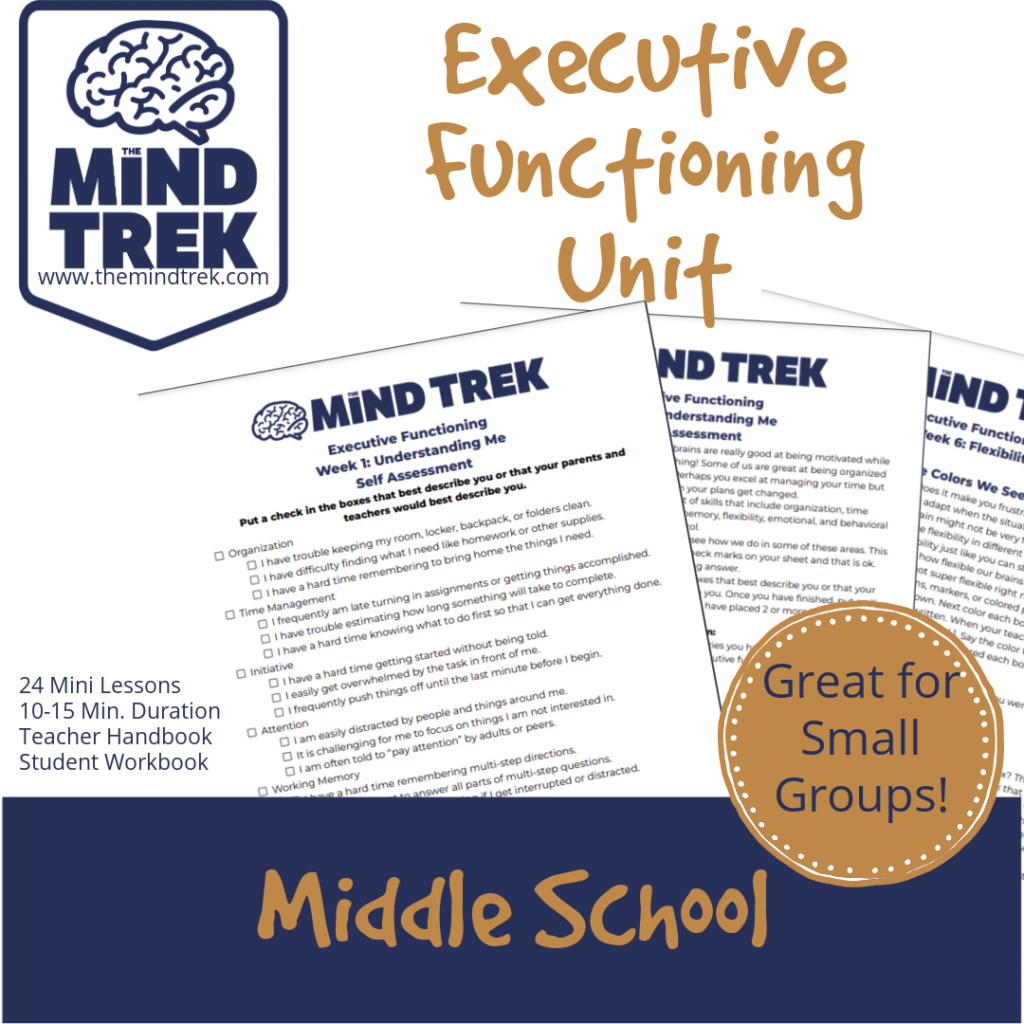 Executive Functioning Mini Unit Preview